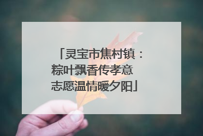 灵宝市焦村镇：粽叶飘香传孝意 志愿温情暖夕阳