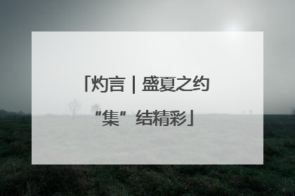 灼言｜盛夏之约 “集”结精彩