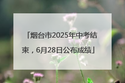 烟台市2025年中考结束，6月28日公布成绩