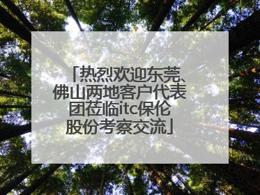 热烈欢迎东莞、佛山两地客户代表团莅临itc保伦股份考察交流
