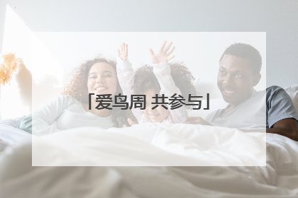 爱鸟周 共参与