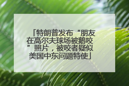 特朗普发布“朋友在高尔夫球场被鹅咬”照片，被咬者疑似美国中东问题特使