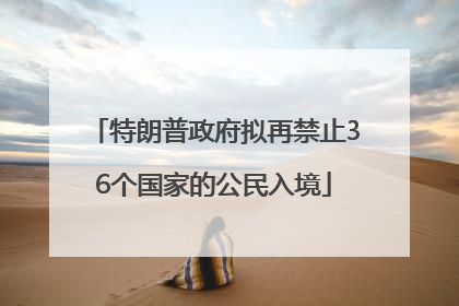特朗普政府拟再禁止36个国家的公民入境