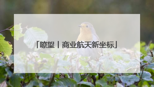瞭望丨商业航天新坐标