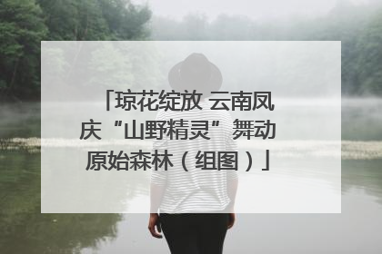 琼花绽放 云南凤庆“山野精灵”舞动原始森林（组图）