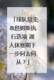球队易主&詹姆斯执行选项 湖人休赛期下一步何去何从？