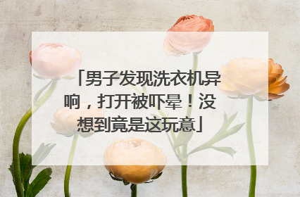 男子发现洗衣机异响，打开被吓晕！没想到竟是这玩意