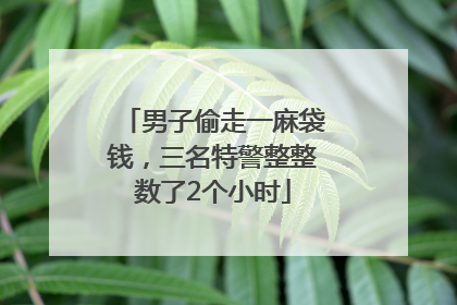 男子偷走一麻袋钱，三名特警整整数了2个小时