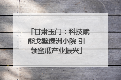 甘肃玉门：科技赋能戈壁绿洲小院 引领蜜瓜产业振兴