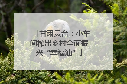 甘肃灵台：小车间榨出乡村全面振兴“幸福油”