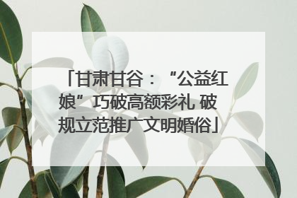 甘肃甘谷：“公益红娘”巧破高额彩礼 破规立范推广文明婚俗