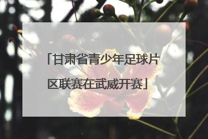 甘肃省青少年足球片区联赛在武威开赛