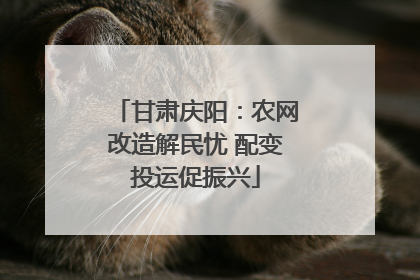 甘肃庆阳：农网改造解民忧 配变投运促振兴