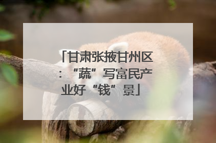 甘肃张掖甘州区：“蔬”写富民产业好“钱”景