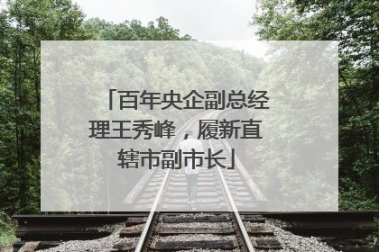 百年央企副总经理王秀峰，履新直辖市副市长
