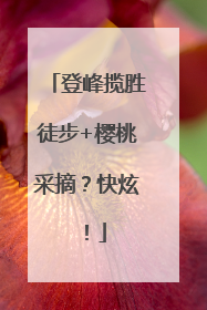 登峰揽胜徒步+樱桃采摘？快炫！