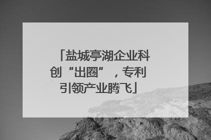 盐城亭湖企业科创“出圈”，专利引领产业腾飞