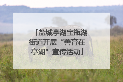 盐城亭湖宝瓶湖街道开展“善育在亭湖”宣传活动
