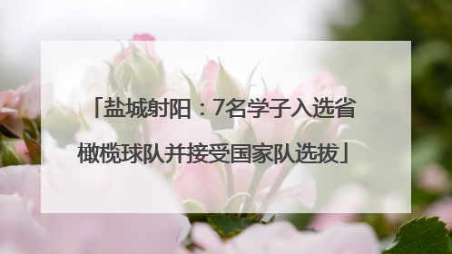 盐城射阳：7名学子入选省橄榄球队并接受国家队选拔