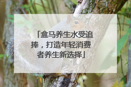 盒马养生水受追捧，打造年轻消费者养生新选择