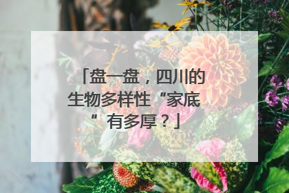盘一盘，四川的生物多样性“家底”有多厚？