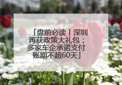 盘前必读丨深圳再获政策大礼包；多家车企承诺支付账期不超60天