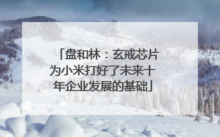 盘和林：玄戒芯片为小米打好了未来十年企业发展的基础