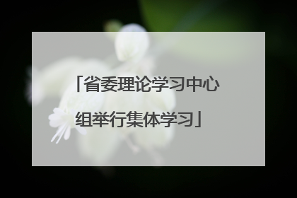 省委理论学习中心组举行集体学习