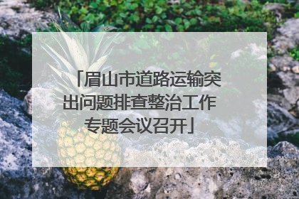 眉山市道路运输突出问题排查整治工作专题会议召开