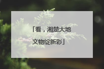 看，湘楚大地文物绽新彩