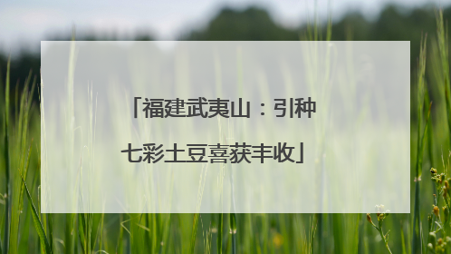 福建武夷山：引种七彩土豆喜获丰收