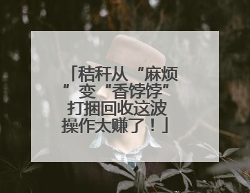 秸秆从“麻烦”变“香饽饽” 打捆回收这波操作太赚了！