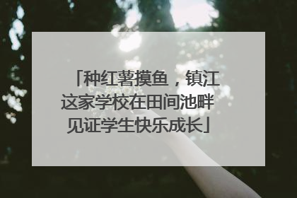 种红薯摸鱼，镇江这家学校在田间池畔见证学生快乐成长
