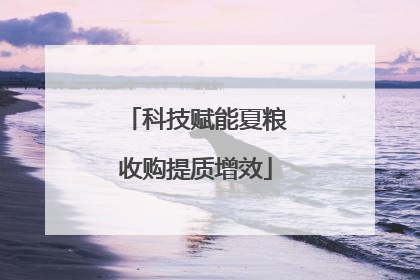 科技赋能夏粮收购提质增效
