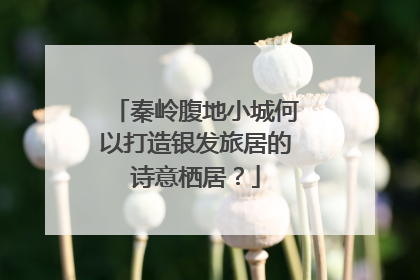 秦岭腹地小城何以打造银发旅居的诗意栖居？