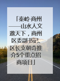 秦岭·商州——山水人文邀天下，商州区委副书记、区长支朝奇推介5个重点招商项目