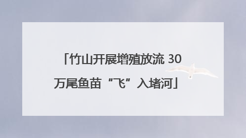 竹山开展增殖放流 30万尾鱼苗“飞”入堵河