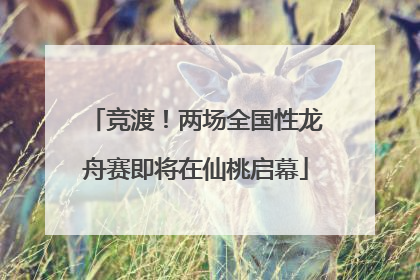 竞渡！两场全国性龙舟赛即将在仙桃启幕