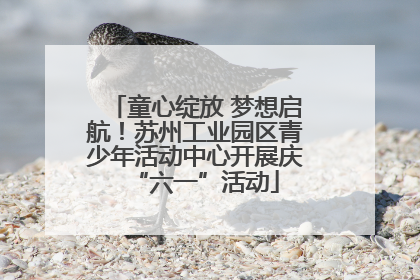 童心绽放 梦想启航！苏州工业园区青少年活动中心开展庆“六一”活动
