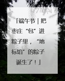 端午节｜把枣庄“包”进粽子里，“地标馅”的粽子诞生了！
