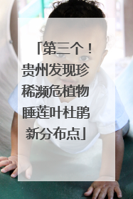 第三个！贵州发现珍稀濒危植物睡莲叶杜鹃新分布点