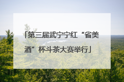 第三届武宁宁红“省美酒”杯斗茶大赛举行