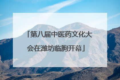 第八届中医药文化大会在潍坊临朐开幕