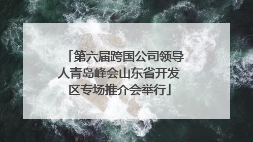 第六届跨国公司领导人青岛峰会山东省开发区专场推介会举行