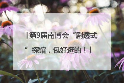 第9届南博会“剧透式”探馆，包好逛的！