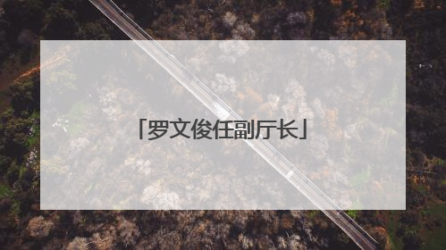 罗文俊任副厅长