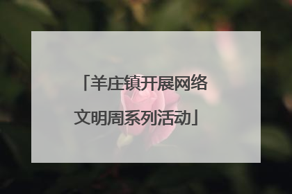 羊庄镇开展网络文明周系列活动