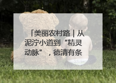美丽农村路｜从泥泞小道到“精灵动脉”，德清有条“虾路”火了