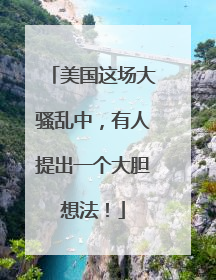 美国这场大骚乱中，有人提出一个大胆想法！