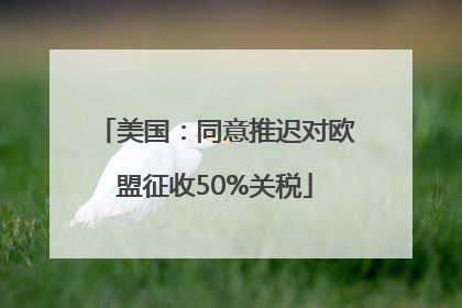 美国：同意推迟对欧盟征收50%关税